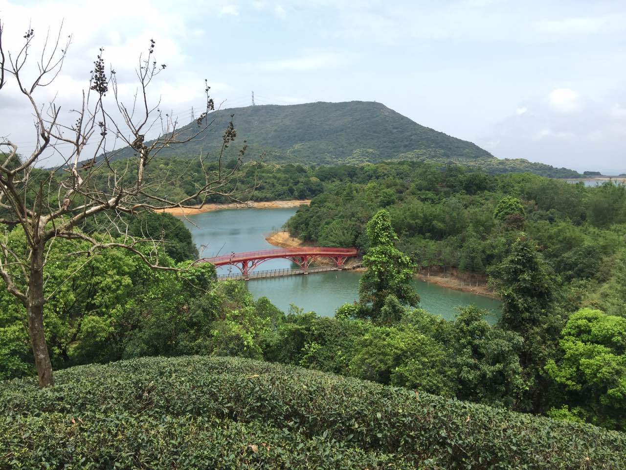 深圳东部华侨城茶溪谷一日游之旅